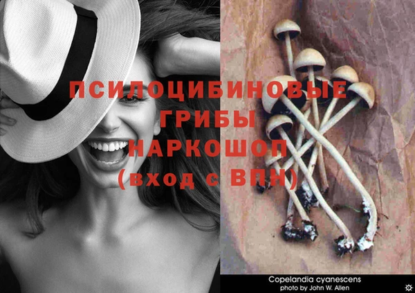 спиды Алексин