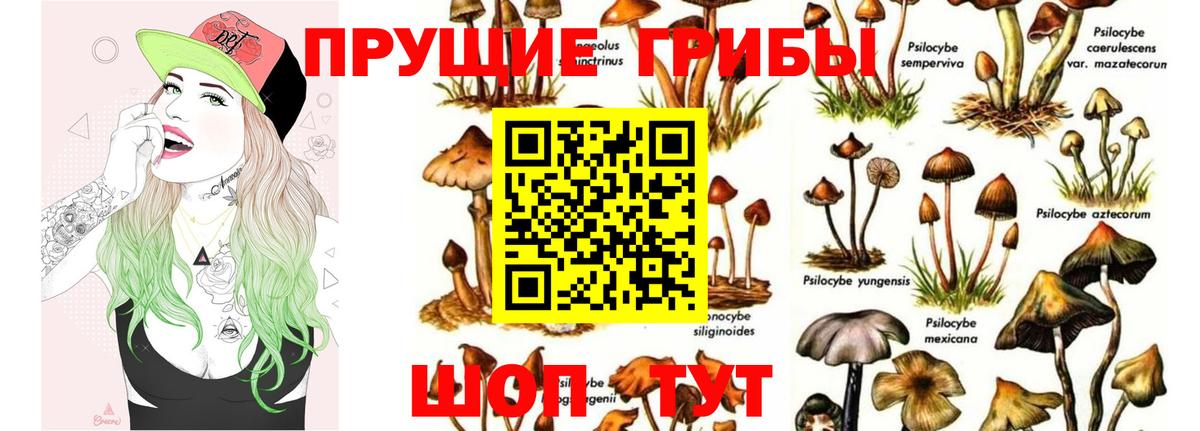 Галлюциногенные грибы прущие грибы  Галлюциногенные грибы GOLDEN TEACHER  Вход с VPN  Одинцово 
